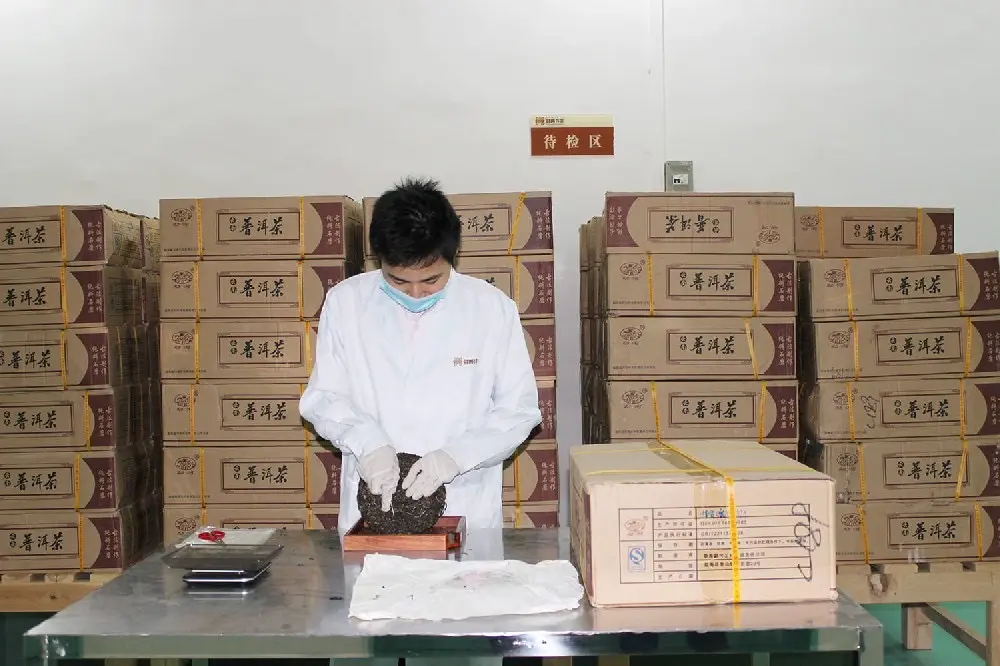 海口普洱茶检验展示